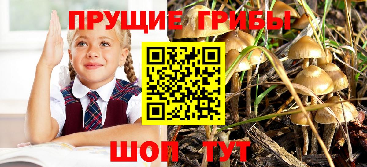 Хасавюрт  Галлюциногенные грибы прущие грибы  Вход с VPN  купить закладку  Галлюциногенные грибы прущие грибы 